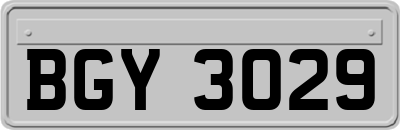 BGY3029