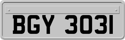 BGY3031