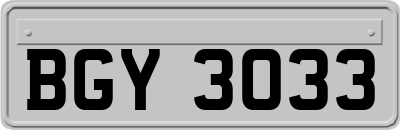 BGY3033