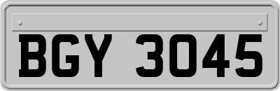 BGY3045