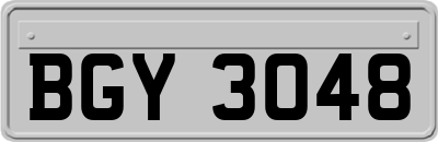 BGY3048