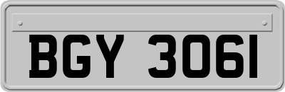 BGY3061