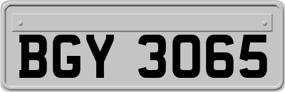 BGY3065