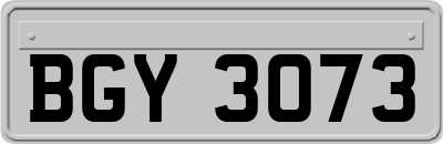 BGY3073