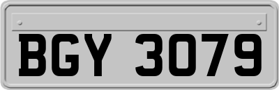 BGY3079