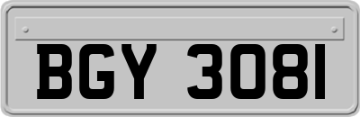 BGY3081