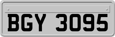 BGY3095