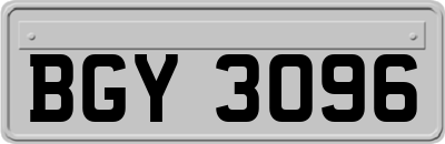 BGY3096