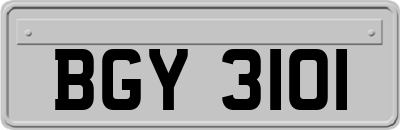 BGY3101