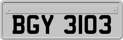 BGY3103