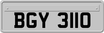 BGY3110