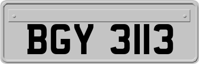 BGY3113