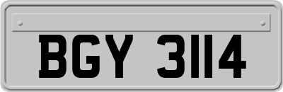 BGY3114
