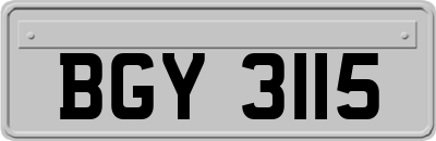 BGY3115