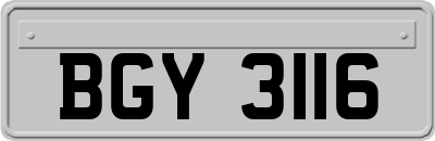 BGY3116