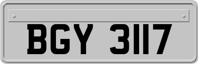 BGY3117