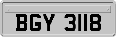 BGY3118