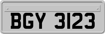 BGY3123