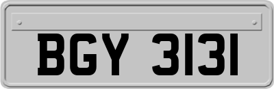 BGY3131