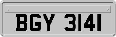 BGY3141