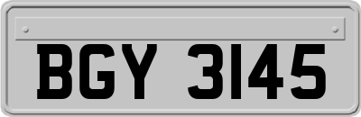 BGY3145
