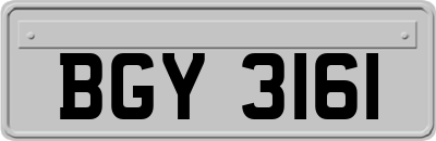 BGY3161