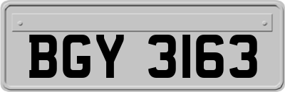 BGY3163