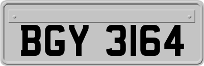 BGY3164