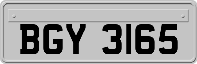 BGY3165