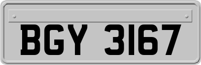 BGY3167