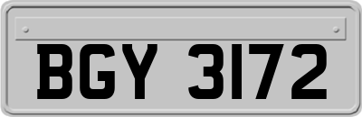 BGY3172