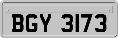 BGY3173