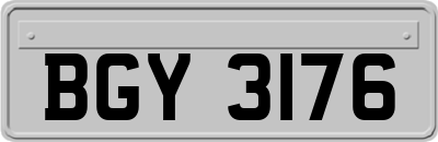 BGY3176