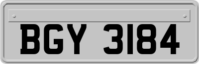 BGY3184