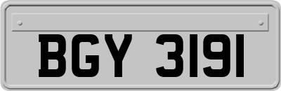 BGY3191