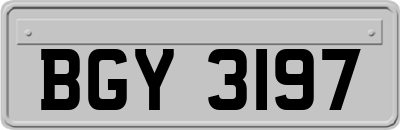 BGY3197