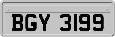 BGY3199