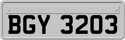 BGY3203