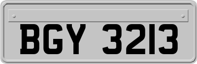 BGY3213