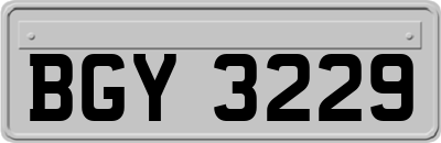 BGY3229