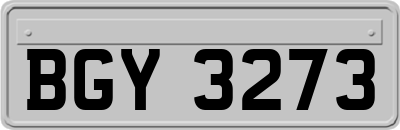 BGY3273