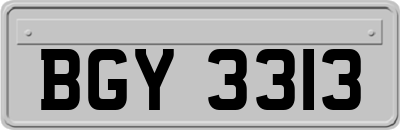 BGY3313