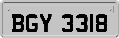 BGY3318