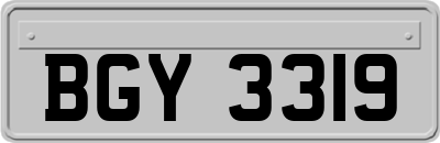 BGY3319