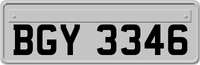 BGY3346