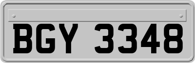 BGY3348