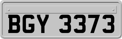 BGY3373