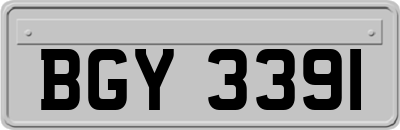 BGY3391