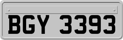 BGY3393