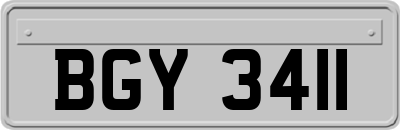 BGY3411